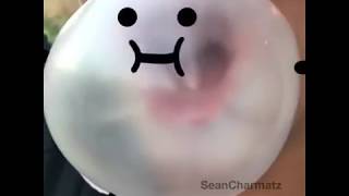 Everything Is Better With Doodles - Doodland