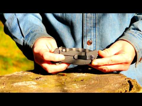 ZT 0301 Review