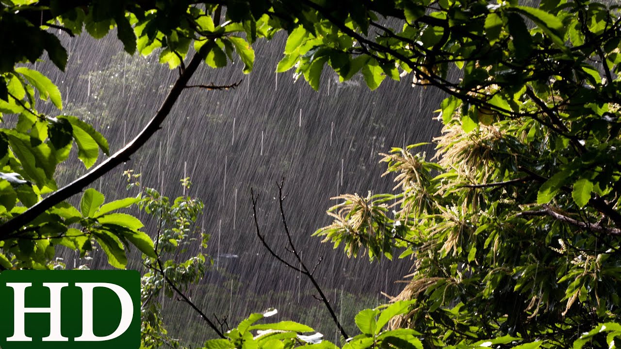 Free Download Meditation Sounds Nature Free Download Meditation Sounds Nature