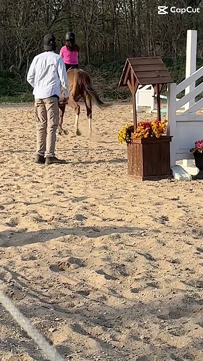 First English canter