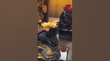 Tum sath ho jo mere to kis chij ki kami he #mahadevstatus ‼️🍃Jay Bhole 🍃‼️har harMahadev 🔱#trending