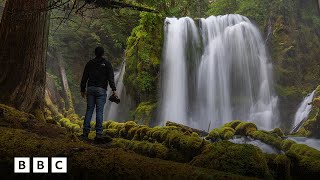The secret behind the nature videos that calm millions | BBC Global