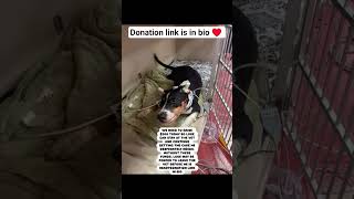 Celebrity DONATE TODAY PLEASE Net Worth