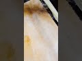 https://youtu.be/hRJEaYA-7wY