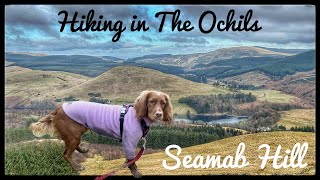 Hiking in The Ochils: Seamab Hill