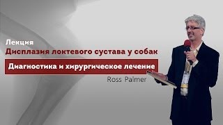 Дисплазия локтевого сустава у собак. Диагностика и хирургическое лечение Дисплазия локтевого сустава у собак. Диагностика и хирургическое лечение
