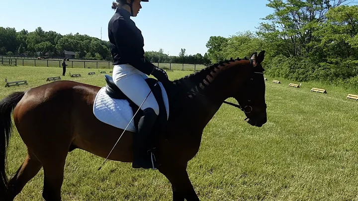 Karen Goetz  Hawkeye level 1 Test C