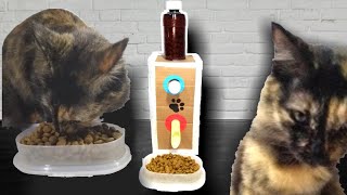 How to make dry cat food dispenser from cardboard