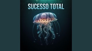 Sucesso Total (feat. Beats de Felicidades)