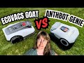 The Best Robot Lawn Mower? Anthbot Genie vs Ecovacs Goat 1000: Surprising Real Lawn Test Results