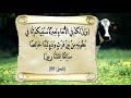 VID 20190217 WA0004 VID 20190217 WA0004