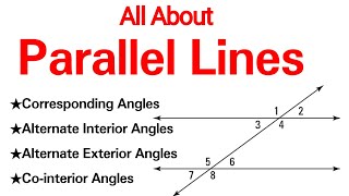 All about Parallel Lines : Corresponding Angles, Alternate interior angles, Cointerior angles