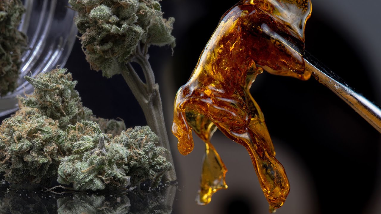 SMASHING 50 GRAMS OF DANK WEED INTO FIRE CONCENTRATES