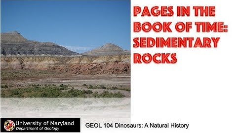 Lecture 4 Pages in the Book of TIme  Sedimentary Rocks
