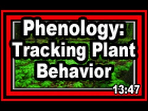 Video: Fenology Garden Info – Další informace o fenologii rostlin