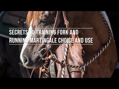 Video: Horse Training Tools: Martingales