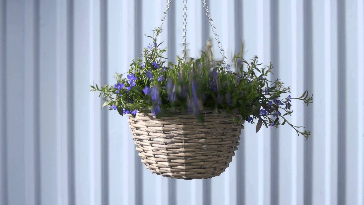 Lobelia Rockar Loss Till Accept YouTube
