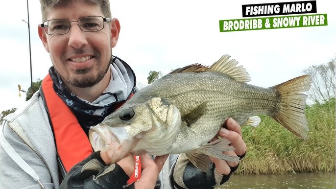 MASTERCLASS: BASS & ESTUARY PERCH Pt 1 — Early Season In Our Rivers 