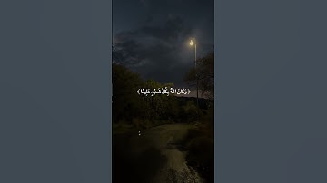 وكان الله بكل شيء عليما | عبدالرحمن مسعد | سورة الفتح