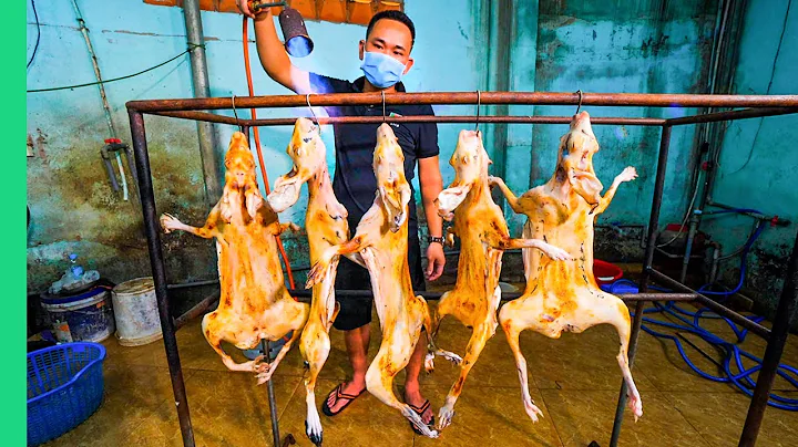 Asia's Strange Meat Secret!! Why don't more people eat this?? - DayDayNews