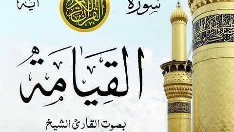 سورة القيامة  - مع إظهار آيات القراءة - تلاوة القارئ الشيخ ماهر المعيقلي