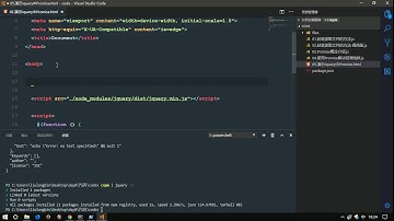 vue js 入门与实战 十一天课程day8 09 Promise Jquery中Ajax使用Promise指定成功回调函数