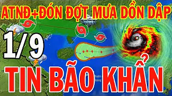 Dự báo thời tiết hôm nay và ngày mai 1/9/2024 | Dự báo thời tiết trong 3 ngày tới thumbnail