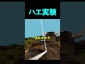 世にも珍しい実験