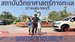 41 บางแสน ชลบุรี ชื่นชมสัตว์โลกใต้ทะเลที่ สถาบันวิทยาศาสตร์ทางทะเล #BangsaenAquarium