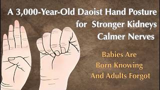 A 3,000-Year-Old Daoist Hand Posture for Stronger Kidneys, Calmer Nerves, and Better Sleep