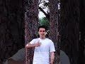 أمي يا أمي حبيبي وينو Reda Sultan 