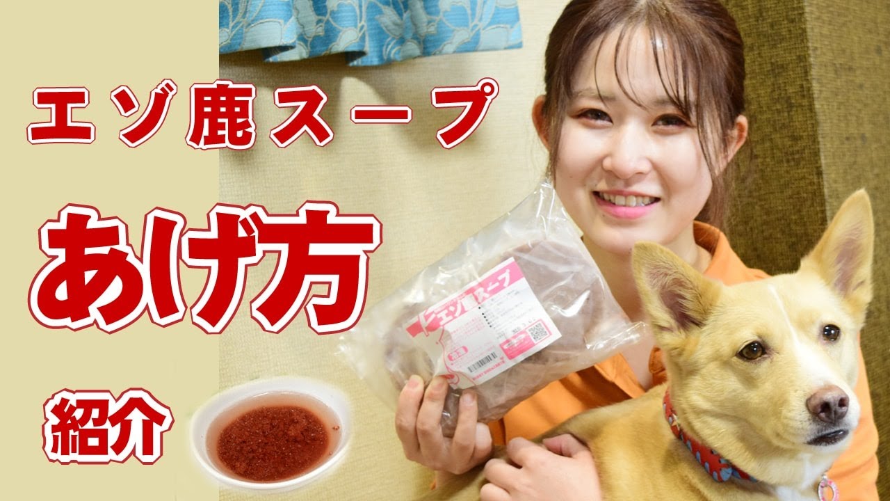 犬用 手作り食材 エゾ鹿スープ 100g 5袋 ドックフードの通販 帝塚山ハウンドカム