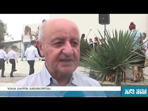 რატომ გაათავისუფლეს თანამდებობიდან ზურაბ ქარელი-პირველი კომენტარი 07.11.2016