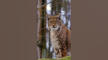 Stop your thumb! #hopecore #nature #edit