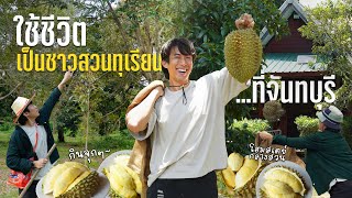 Try to be durian farmer for 2 days | Sleep in the orchard | CHINOTOSHARE