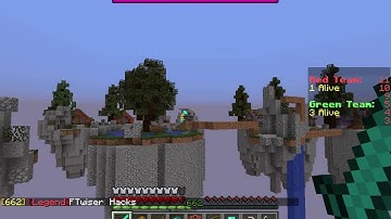 Minecraft Central Hacker Report - TeamSW (#131)