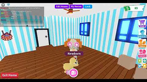 we play adopt me today