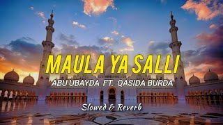 Maula Ya Salli - Abu Ubayda | (Slowed & Reverb) | Without Music