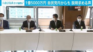 河井陣営への1億5千万円　党内からも説明求める声(20/06/30)