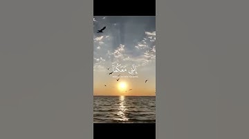 قال لا تخافا انني معكما اسمع وارى #محمد_ ديبيروف #سورة_طه