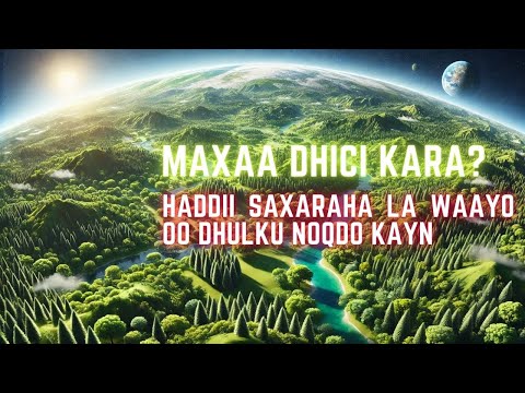 Maxaa Dhici Kara Haddii Saxaraha La Waayo Oo Dhulku Noqdo Kayn  Maxaa Dhici Kara Haddii Saxaraha La Waayo Oo Dhulku Noqdo Kayn