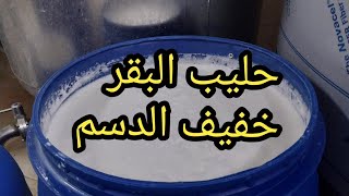 حليب البقر خفيف الدسم