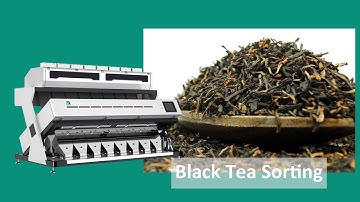 SG Tea Sorting Machine / Tea Color Sorter