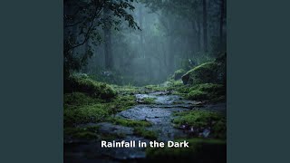 Rainfall in the Dark Motion, Pt.23