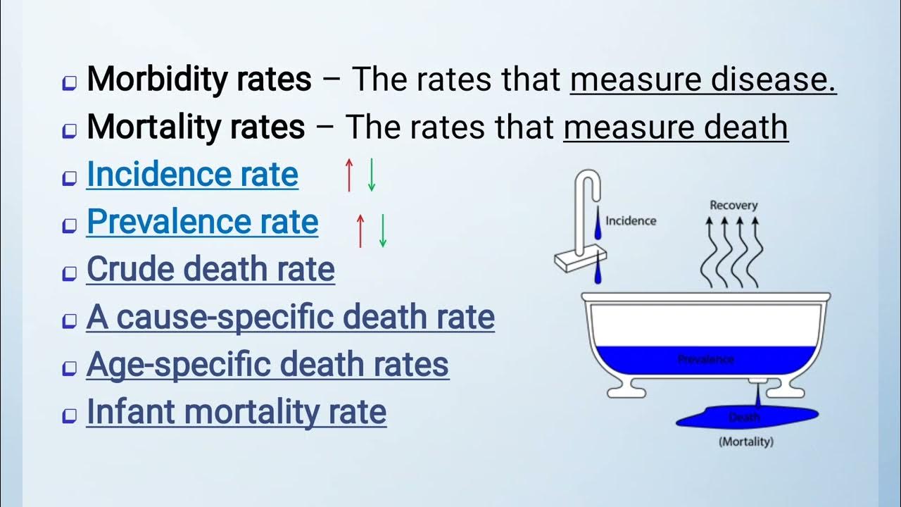 Epidemiology Revision (Part II) YouTube