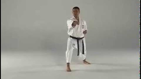 1st Kata - Taigyoku Shodan