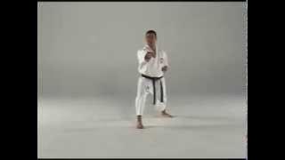 Kata Pertama - Taigyoku Shodan