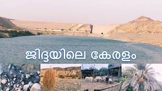 Weekend Vlog | Trip to Green Land | Asfan | Wadi Murwani Dam Jeddah جدة | عسفان | سد وادي المرواني |