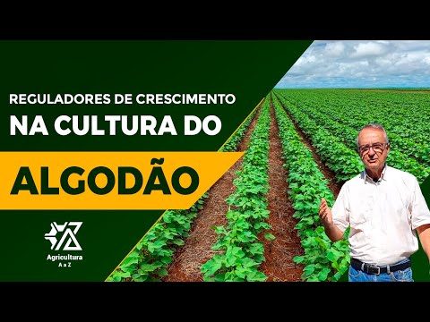 Vídeo: O que um regulador de crescimento de planta faz?