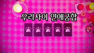 [타로카드/연애운] 우리 사이 연애 궁합